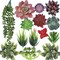 14 Pcs Realistic Mini Artificial Succulents – Unpotted Textured Faux Small Potted Plant Style Greenery for DIY Crafting, Home, Wall, Garden & Office Decor